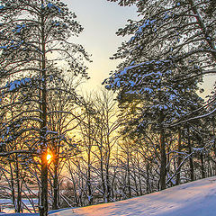 photo "Moss mountains. Nizhny Novgorod Region."