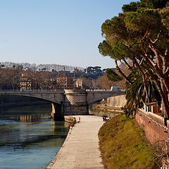 фото "Roma"
