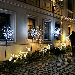 photo "Through the streets of Vienna.../4/"