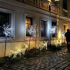 фото "Through the streets of Vienna.../4/"