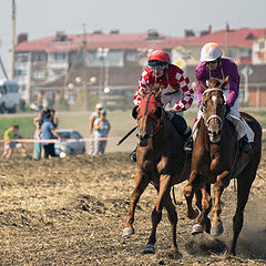 фото "Станичники"