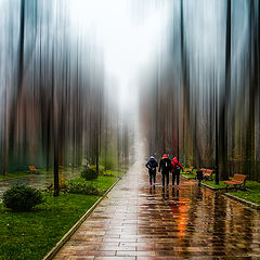 photo "street"
