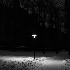 фото "Ночь, парк, фонарь..."