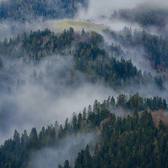 фото "Укрытые туманом"