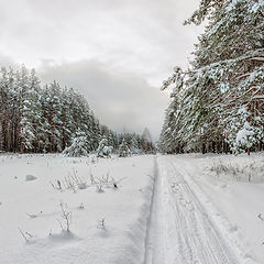 фото "Зимняя дорога"