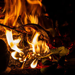 photo "мгновение...огня"