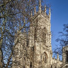 photo "Yorkminster Towers"