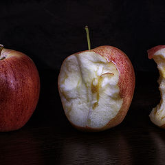 фото "Адамово яблоко -регресс"