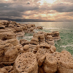 фото "Солевые бляшки Мертвого моря"