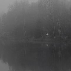 фото "Одиночество в тумане"