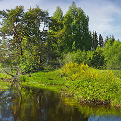 фото "На Вязьме"