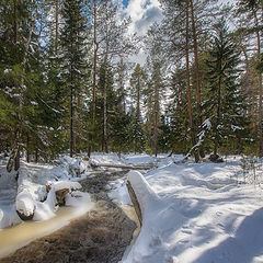 фото "Вешние воды"