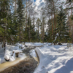 фото "Вешние воды"