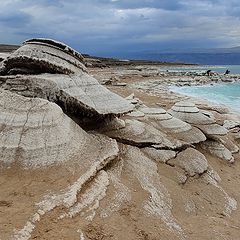 фото "Солевые бляшки Мертвого моря"