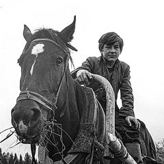 фото "1974 г. Прокопьевка. Сенокос 4."