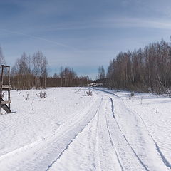 фото "Лесными тропами..."