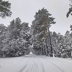 фото "Заметает апрель, заметает"