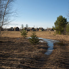 фото "тепло апреля"