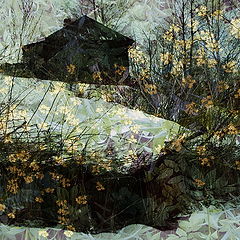 photo "***"