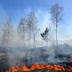 фото "Весенние пожары"