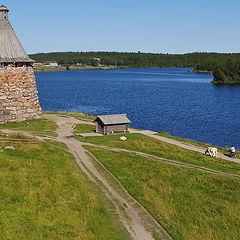 фото "Размеренная жизнь"