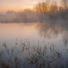 фото "ранним утром..."