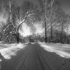 фото "О сНежности"