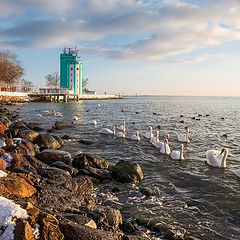 фото "Солнечная Балтика"