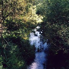 фото "Поэма о лесной речке (4)"