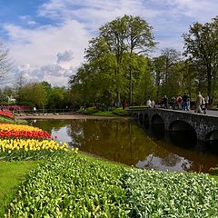 фото "Парк Кёкенхоф в Голландии"