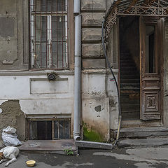 фото "На улочках Тбилиси"
