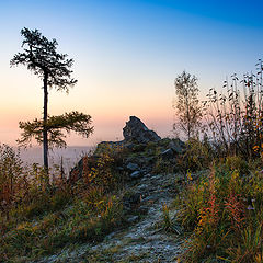 фото "Утренний иней"