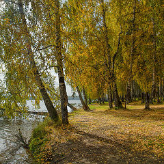 фото "Осенний берег"