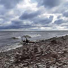 photo "Their World. under the cliff of Valaste"