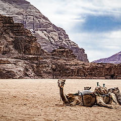 photo "Wadi Rum 4"