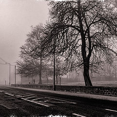 photo "In the Fog"
