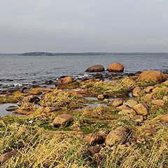 фото "Финский залив. Берег северный"