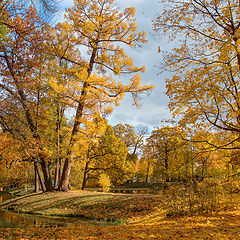 фотоальбом "Царское село"