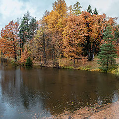 фото "Осень в  парке  усадьбы Приютино"