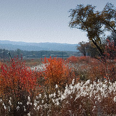 фото "Осенняя палитра"