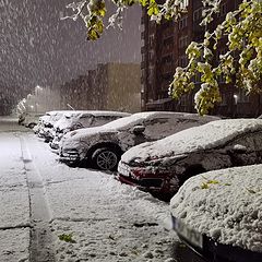 фото "доброе утро первого снега."