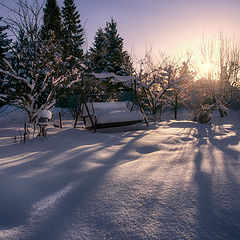 фото "Зимний сад"