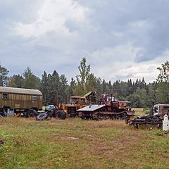 фото "...о нужном"