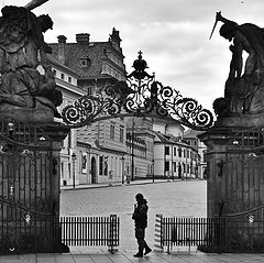 photo "Ворота и стражник"
