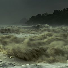 фото "Storm of the century."