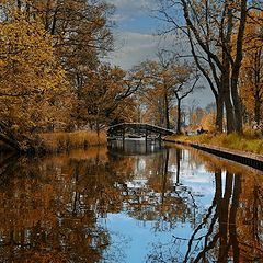 фото "Осенняя зарисовочка"