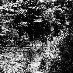 фото "Кладбище в лесу (1)"
