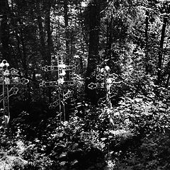 фото "Кладбище в лесу (2)"
