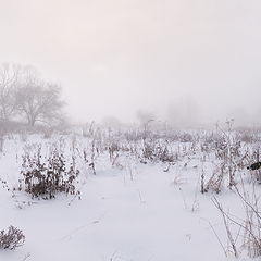 фото "Зимний туман"