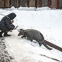 фото "Декабрьская Рига 3"